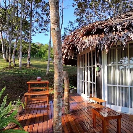 El Resort De Yanashpa - Tarapoto Room photo